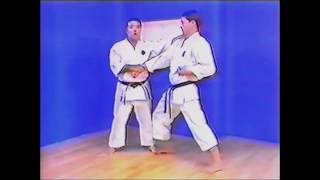 Goju ryu kata. Seiyunchin. Indroduction and history