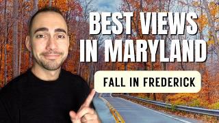 BEST Things to Do in Frederick Maryland this FALL 2025