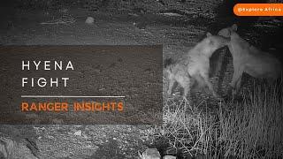 HYENAS FIGHT FOR DOMINANCE | Ranger Insights