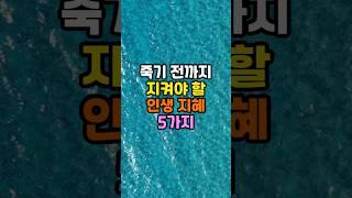 죽기 전까지 지켜야 할 인생 지혜 5가지 #지혜 #좋은글 #명언