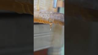 Flow Hive Leaking During Harvest #beekeeping #beekeeper #flowhive #honey #honeyharvest #beehive