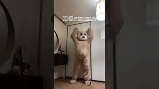 ️곰레마️