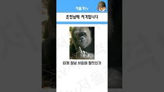 흔한남매 근친상간 #저격 #흔남 #근친