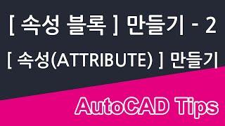 [속성(ATTRIBUTE)]의 옵션들