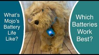 Skyrocket Moji the Lovable Labradoodle - Which batteries work best?