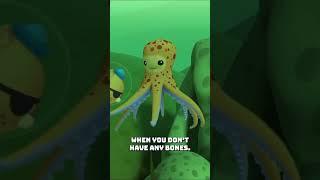 @Octonauts - The Real King of Hide & Seek | The Octopus   | #shorts #hideandseek
