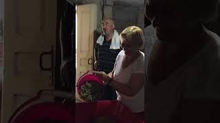 Терапия путешествиями и вином. Ртвели.