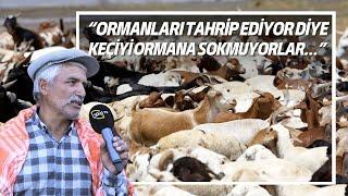 “Ormanları Tahrip Ediyor Diye Keçiyi Ormana Sokmuyorlar…”