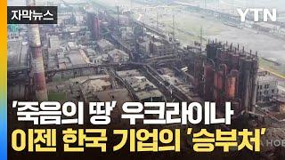 [자막뉴스] '1,300조' 걸린 우크라이나 재건...한국 경제의 터닝포인트 / YTN