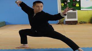 Tai Chi For Health and Well-being Session 17