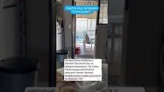 Личные границы. Результаты обучения в школе Антуана Наджаряна #непослушнаясобака #дрессировка