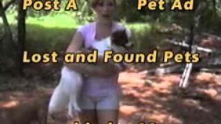 Lost Pets - Missing Pets