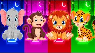 Super Animals Team Lion - Monkey - Tigers - Elephant Tiles Hop Edm Rush #tileshop #animals #cartoon