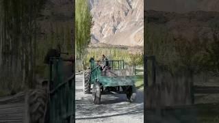 #pakistan #mountains #travel #video