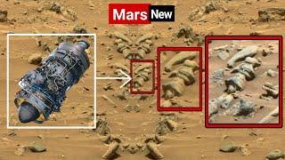 NASA's Mars Rover Perseverance Capture Most Fascinating Video Footage of Mars Life -Curiosity Images