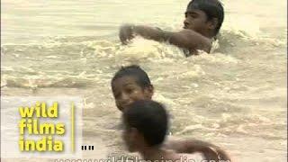 Kids splashing around in the waters of Yamuna River, Delhi