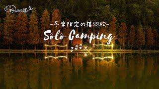 Solo Camping | 流水響露營 | 露營與落羽松 | 初級露營地點 | 航拍 | 4K | 山野無痕