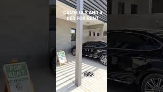 Camelia 1| 3 and 4 bedroom for Rent available #dubai #shortfeed #dubaiapartments