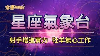 【命運好好玩】2024/12/18星座運勢 - 射手增進實力 牡羊無心工作