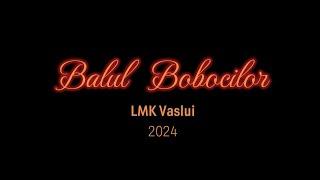 Balul Bobocilor LMK 2024