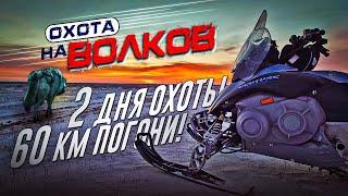 Охота на волков!60 км погони!