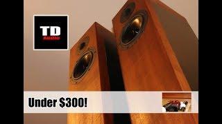 The Best DIY Speakers for Under $300? Crossover Design and Overview