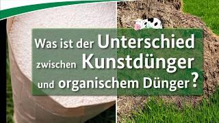 Kunstdünger vs. organische Dünger: Was sind die Unterschiede?