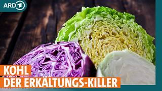 Kohl - so gesund ist er wirklich I ARD Gesund