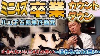 止まらぬミニ４ズのパワー炸裂！卒園カウントダウン開始！