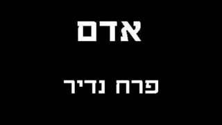 אדם - פרח נדיר