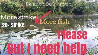 Beautiful spot more fish more strike but i need help/ episode:1 fishing vlog by joebert asor