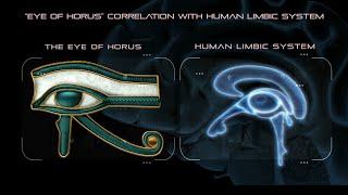 The ancient Egyptians explained the biology of consciousness!