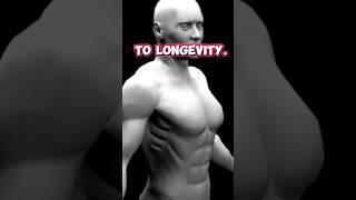 How Important Is Muscle For Longevity, Really?