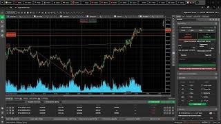 GOLD SENIOR TRADER – 2.01.2025