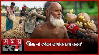 বীজ আলুর ঘাটতি, কৃষকের পকেট কাটছে সিন্ডিকেট | Potato Price | Syndicate | Seed Potatoes | Somoy TV