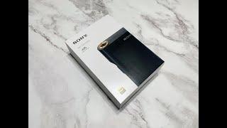 Sony NW-WM1AM2 Review (Sony Walkman 2022)