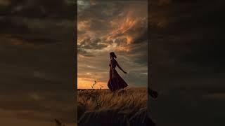 When the noise went silent #calm #serene  #aifilm #ai #aifilmmaking