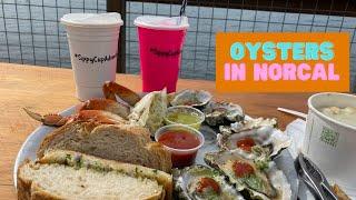 A road trip for oysters in Northern California