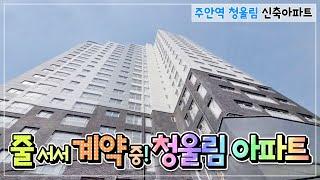 주안역 청울림 3룸/4룸 /테라스 구조다양  5월입주