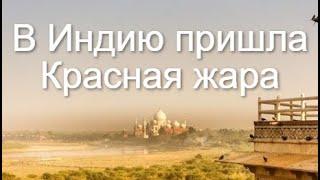 Аномальная жара в Индии