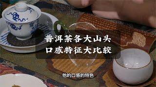 普洱茶各大山头口感特征大比较