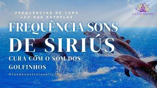 FREQUÊNCIA SONS DE SIRIÚS CURA COM O SOM DOS GOLFINHOS