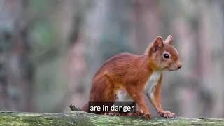 Nature Networks Matter Intro