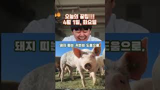황호샘, 오늘의 꿀팁!!! 4월 1일, 화요일, 꼭, 보세요. 안보면 후회합니다. #운세 #사주명리학강의 #지식
