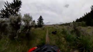 Bear Charges at Biker on British Columbia Trail