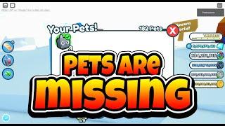 Why your Pets have gone Missing in Pet Simulator X