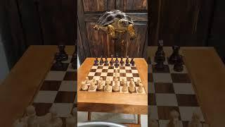 The SLOWEST Chess Opening!