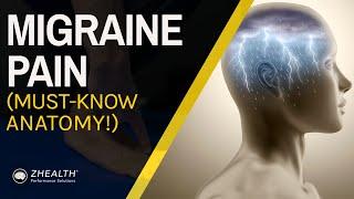 Migraine Pain (Must Know Anatomy!)