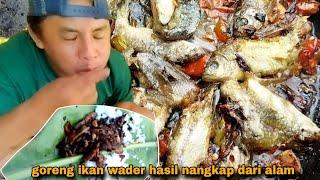 Goreng Ikan Wader hasil Tangkapan Di Alam Liar.!!Untuk di goreng garing kriuk kriuk