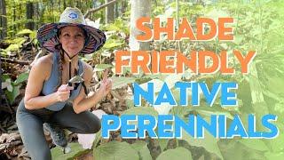 Shady Oasis: 5 Native Shade Plants & Eco-Friendly Options  | Gardening Tips